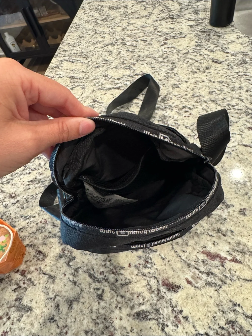 Disney Crossbody Bag